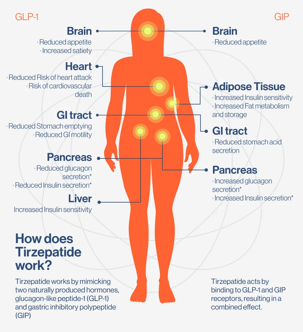 Best Weightloss Meds | Willow Best Weightloss Meds | Willow